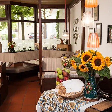 Stern Soller Hotel