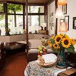 Stern Soller Hotel